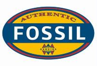 fossil